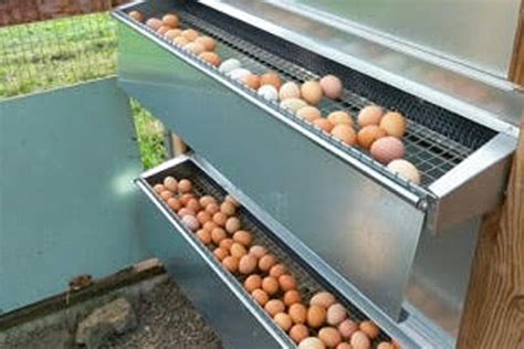 metal chicken coop nesting boxes for sale|hanging nesting boxes for chickens.